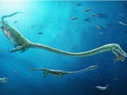 Tìm thấy hóa thạch loài đầu dài gấp đôi cơ thể mang phôi thai