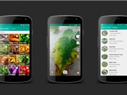 Clip: Ứng dụng trên smartphone giúp phát hiện bệnh của cây trồng