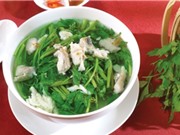 Hướng dẫn làm món canh cá lóc rau cần thơm ngon, bổ dưỡng