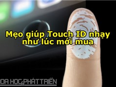 5 cách giúp Touch ID nhạy như lúc ban đầu