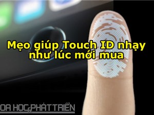5 cách giúp Touch ID nhạy như lúc ban đầu