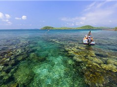Chiêm ngưỡng vẻ đẹp của “đảo Robison giữa đại dương” tại Việt Nam