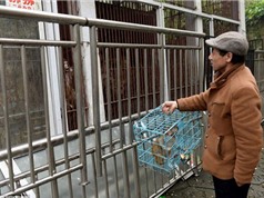Vườn thú Trung Quốc cho các loài động vật ăn thịt nhau