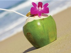 8 lợi ích tuyệt vời của nước dừa đối với sức khỏe