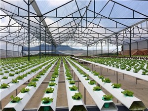 Gia Lai xây dựng 5 khu nông nghiệp ứng dụng công nghệ cao