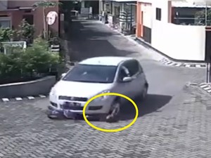 Clip: Bị xe hơi tông ngang người, bé gái vẫn đi lại bình thường