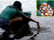 Clip: Màn câu cá piranha “siêu độc” của thiếu nữ Brazil