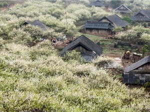 Mai Châu - điểm đến ưa thích của phượt thủ khi đặt chân tới Hòa Bình