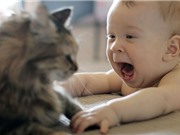 Clip: “Chết cười” với những tình huống đùa giỡn giữa trẻ em và mèo