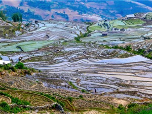 Ngắm “bức tranh” đầy màu sắc ở Ngải Thầu