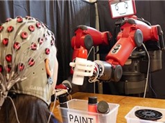 Chế tạo robot có thể điều khiển bằng não người