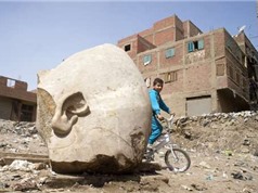 Phát hiện tượng vua  khổng lồ ở khu ổ chuột Cairo, Ai Cập