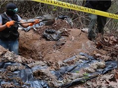 Mexico phát hiện hơn 240 thi thể trong những ngôi mộ tập thể