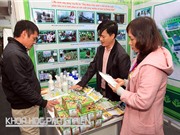 Cần tổ chức thường xuyên Festival nông nghiệp vùng Đồng bằng sông Cửu Long 