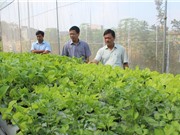 Bắc Giang khởi động nông nghiệp công nghệ cao