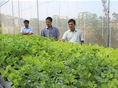 Bắc Giang khởi động nông nghiệp công nghệ cao