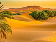 Phát hiện mới: Sa mạc Sahara từng là thiên đường xanh tươi