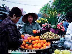 Nghiên cứu về giới tiết lộ gì về nữ quyền ở Việt Nam?