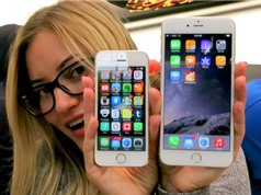 Apple có nguy cơ bị phạt nặng vì “làm giá” iPhone