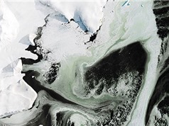 Băng ở Nam Cực chuyển thành màu xanh lục