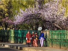 “Ghé thăm” Bhutan - đất nước hạnh phúc nhất thế giới