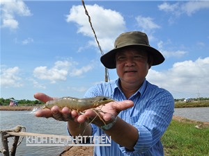 TS Nguyễn Việt Thắng - nhà khoa học uy tín trong lĩnh vực nuôi tôm