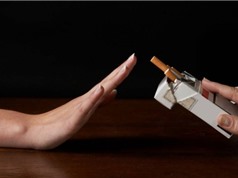 Bộ KH&CN tổ chức cuộc thi viết về phòng, chống tác hại của thuốc lá
