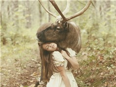 Bộ ảnh tuyệt đẹp về tình bạn giữa con người và các loài vật