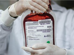 Tế bào gốc bất tử giúp xua tan nỗi lo về nguồn cung máu