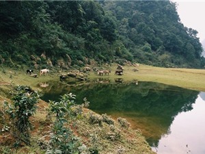 Chiêm ngưỡng "tuyệt tình cốc" hút phượt thủ ở Cao Bằng