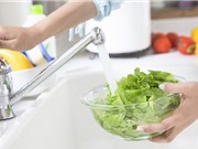 Hướng dẫn cách rửa rau sống sạch mầm bệnh, thuốc trừ sâu