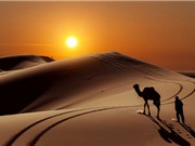 10 sa mạc có diện tích lớn nhất thế giới