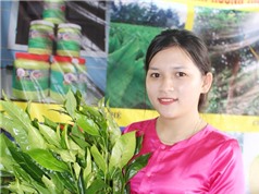 Tôn vinh những sản phẩm đặc sản của nông dân Quảng Trị