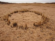 Tìm ra lời giải cho những vòng tròn kỳ quái ở Namibia?