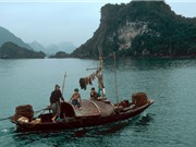 Chùm ảnh cực hiếm về Quảng Ninh năm 1994 - 1995