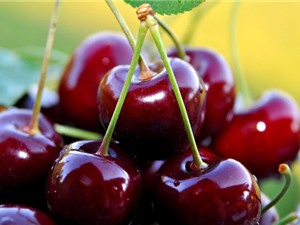 5 loại quả màu đỏ giúp ích cho sức khỏe