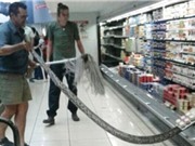 Bắt gặp trăn dài 3,6m khi đi mua sữa chua trong siêu thị