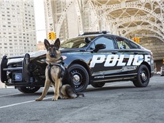  Siêu xe cảnh sát Ford Police Responder Hybrid "ngốn" chỉ 6,19 lít/100 km