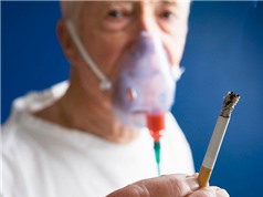 Nguyên nhân và cách phòng ngừa bệnh tắc nghẽn phổi mãn tính