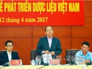 Lãnh đạo chính phủ chủ trì hội nghị về phát triển dược liệu Việt Nam