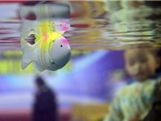 Trung Quốc: Chế tạo cá robot thân mềm đo độ mặn nước biển