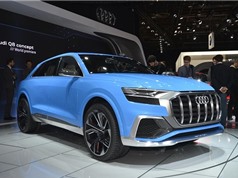 Audi chốt kế hoạch sản xuất xe Q4 và Q8
