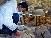 Phát hiện kho báu với 8 xác ướp ở Ai Cập