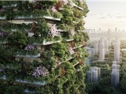 Trung Quốc xây thành phố rừng để chống ô nhiễm