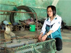 Máy bắt ngao vạng - sản phẩm của nhà sáng chế Việt Nam