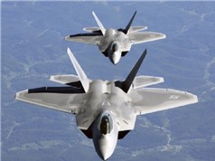 Chi tiết "Mãnh thú" F-22 Raptor của Mỹ
