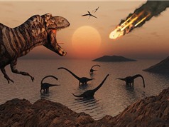 Thiên thạch gây tuyệt chủng khủng long có thể là nguồn gốc của sự sống