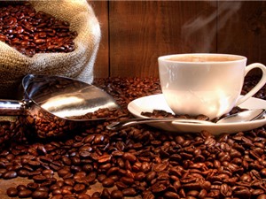 Tính chất đặc thù về chất lượng của cà phê Buôn Ma Thuột 