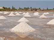 Muối dùng để sản xuất nước mắm Phan Thiết đặc biệt như thế nào?