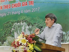 Nâng giá trị nông nghiệp vùng Đồng bằng sông Hồng: Tổ chức lại sản xuất để đẩy mạnh ứng dụng khoa học
